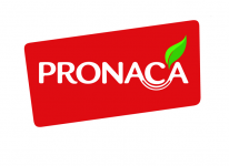 pronaca3