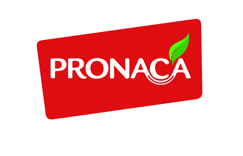 pronaca3